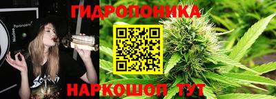 спайс Гатчина