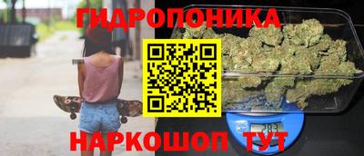спайс Гатчина