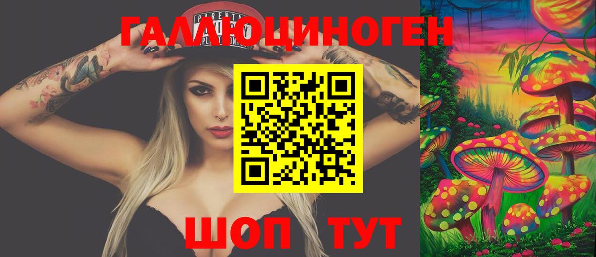 Псилоцибиновые грибы GOLDEN TEACHER Людиново